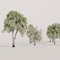 3D Voxel-art birches for sale!