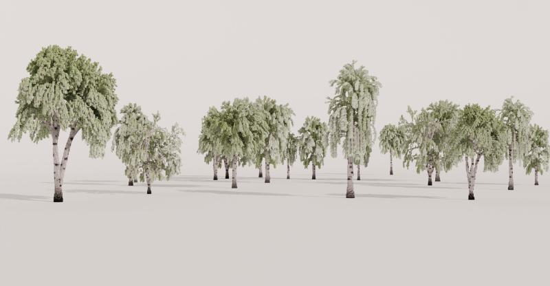 Featured image of post 3D Voxel-art birches for sale!