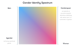 Featured image of post Gender, sex, gender identity, society