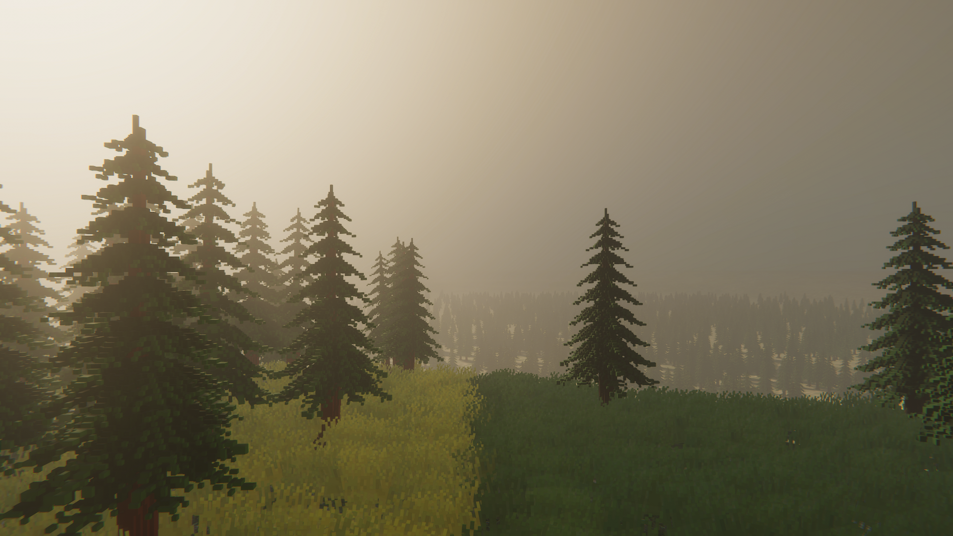Cool landscape shot